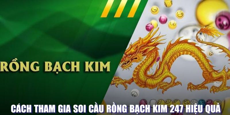 Cách tham gia soi cầu rồng bạch kim 247 hiệu quả